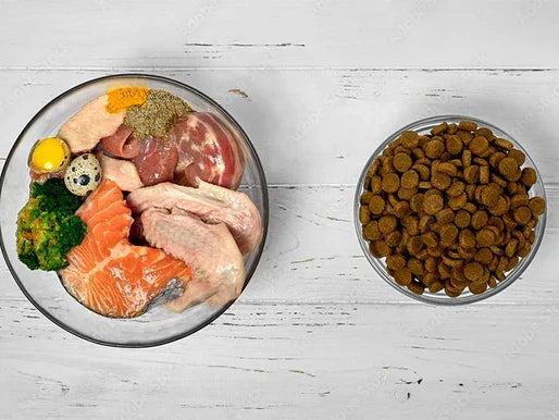 Cuidado de Mascotas en Bogotá: Cómo Adaptar la Alimentación en Temporadas de Clima Cambiante