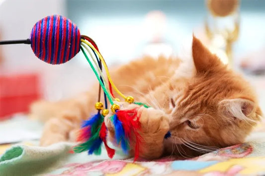 Los Mejores Juguetes Interactivos para Gatos: Estimula y Diversifica el Bienestar de tu Felino en Bogotá
