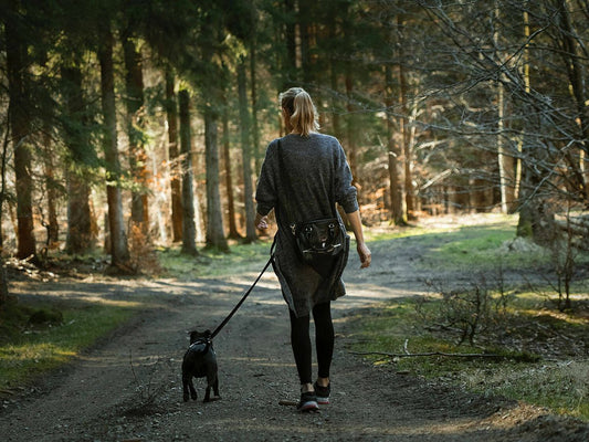 Guía Completa de Parques y Espacios Pet-Friendly en Bogotá: Los Mejores Lugares para Disfrutar con tu Mascota