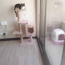 Cómo Mantener a tu Gato Activo en Espacios Pequeños: Juegos, Enriquecimiento y Accesorios en Bogotá