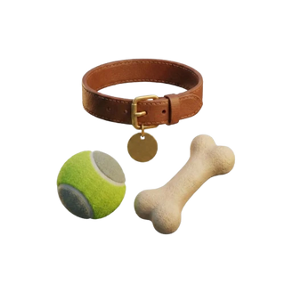 Accesorios