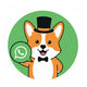 Soporte por WhatsApp
