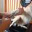 Atención personalizada para cada mascota
