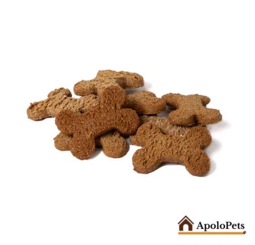Galletas Horneadas Bombonera para Perros – Snack Natural x1.000g | ApoloPets Colombia