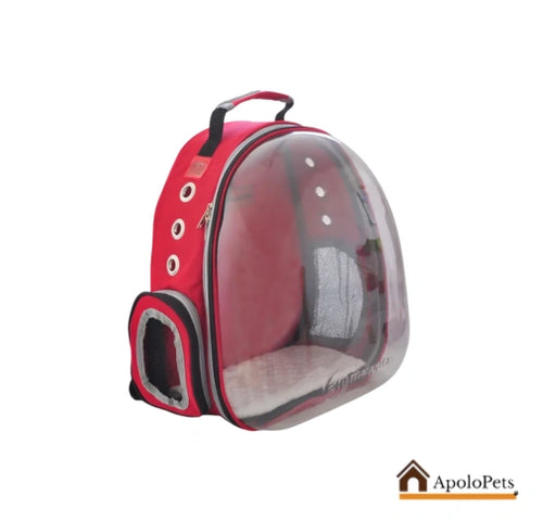 Guacal Morral Panorámico para Perros Pequeños – Viajes Seguros y Cómodos