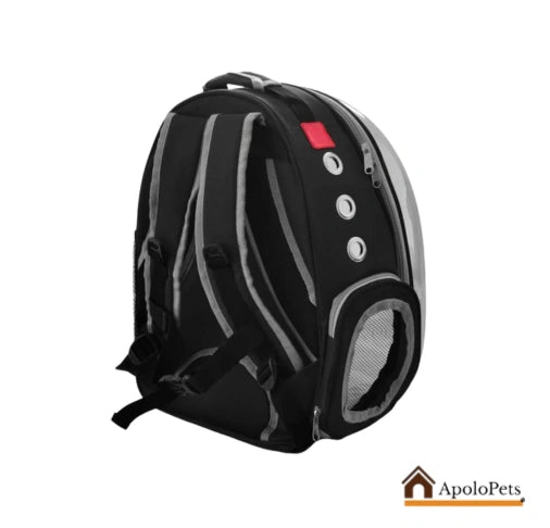 Guacal Morral Panorámico para Perros Pequeños – Viajes Seguros y Cómodos